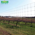 Glavanized PVC Coated Field Fence Farm Fence